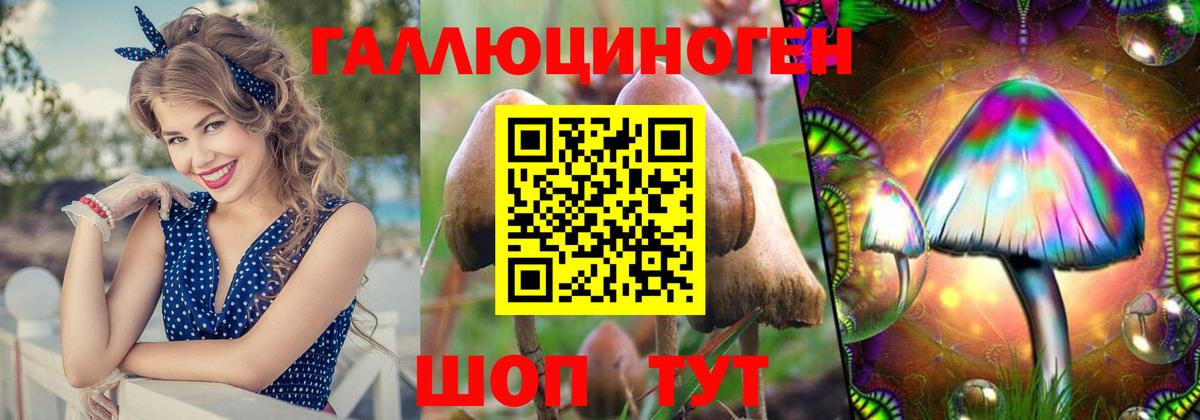 Псилоцибиновые грибы MAGIC MUSHROOMS Вятские Поляны