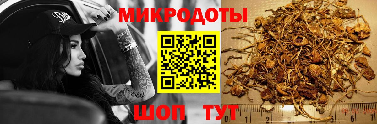 купить наркотик  Вход с VPN  Вятские Поляны  Псилоцибиновые грибы ЛСД 